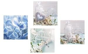 Set obrazov lucerničky s modrou kvetinou