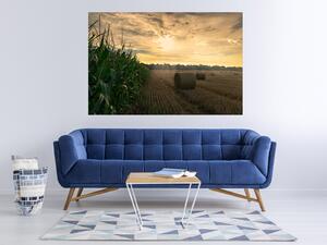 Nalepte.cz Západ slnka na poli textilní prelepiteľná nálepka na stenu 45 x 30 cm