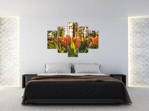 Obraz - oranžové tulipány (150x105 cm)