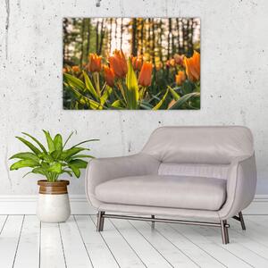 Obraz - oranžové tulipány (90x60 cm)