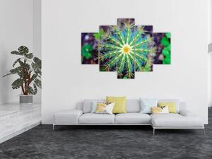 Obraz kaktusu (150x105 cm)