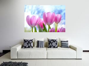 Nalepte.cz Ružové tulipány textilní prelepiteľná nálepka na stenu 45 x 30 cm