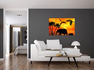 Obraz - papagáje a slony (90x60 cm)