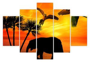 Obraz - papagáje a slony (150x105 cm)