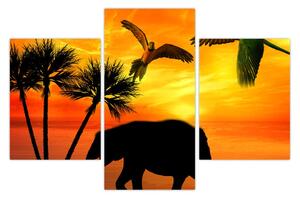 Obraz - papagáje a slony (90x60 cm)