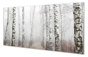 Sklenený obraz hmla breza 100x50 cm 2 Prívesky