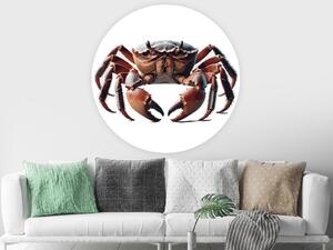 Nalepte.cz Krab textilní prelepiteľná nálepka na stenu arch 20 x 20 cm