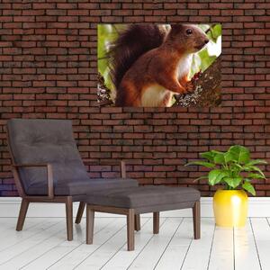 Obraz veveričky (90x60 cm)