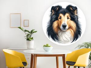 Nalepte.cz Dlhosrstá kólia textilní prelepiteľná nálepka na stenu arch 20 x 20 cm