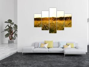 Obraz orosenej trávy (150x105 cm)