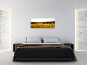Obraz orosenej trávy (120x50 cm)