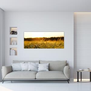 Obraz orosenej trávy (120x50 cm)