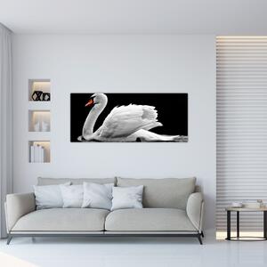 Obraz čiernobielej labute (120x50 cm)