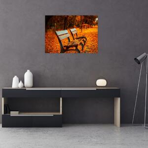Obraz lavičky v jeseni (70x50 cm)