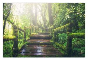 Obraz - drevené schody v lese (90x60 cm)