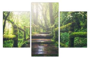 Obraz - drevené schody v lese (90x60 cm)