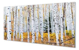 Sklenený obraz jesene breza 100x50 cm 2 Prívesky