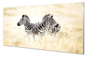 Sklenený obraz zebra box 140x70 cm 2 Prívesky
