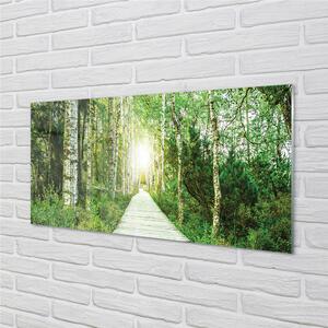 Sklenený obraz Breza lesná cesta 120x60 cm 4 Prívesky