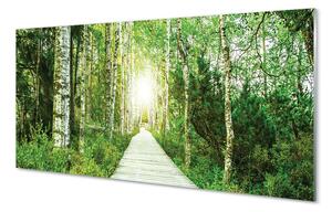 Sklenený obraz Breza lesná cesta 120x60 cm 2 Prívesky