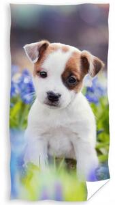 Bavlnená osuška so šteniatkom Jack Russell Teriér 01 70x140 cm 100% bavlna