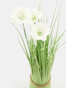Sinsay - Ozdobná rastlina - biela