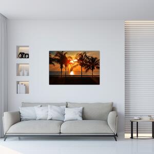 Obraz palmy v západe slnka (90x60 cm)
