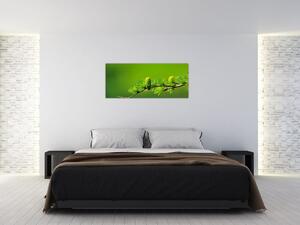 Obraz zelenej šišky (120x50 cm)