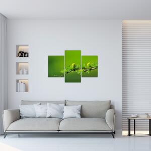 Obraz zelenej šišky (90x60 cm)