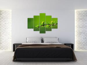 Obraz zelenej šišky (150x105 cm)
