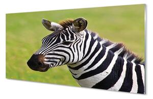 Sklenený obraz zebra 100x50 cm 2 Prívesky