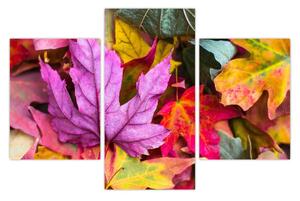 Obraz - jesenné listy (90x60 cm)