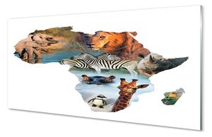 Obraz plexi Zebra žirafa tiger 140x70 cm 2 Prívesky