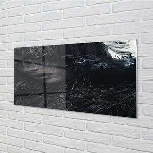 Sklenený obraz temná postava 140x70 cm 2 Prívesky