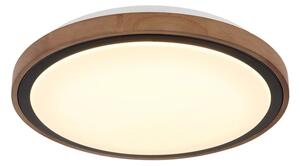 Globo 41764-18 - LED Stropné svietidlo BRUNO LED/18W/230V 3000/4000/6000K