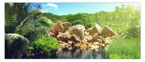 Obraz jazera v Seychelskej džungli (120x50 cm)