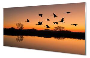 Sklenený obraz Lietajúce vtáky sunset 100x50 cm 2 Prívesky