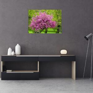 Obraz rozkvitnutého stromu na lúke (70x50 cm)