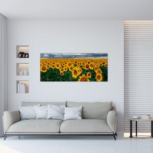 Obraz slnečnicového poľa (120x50 cm)