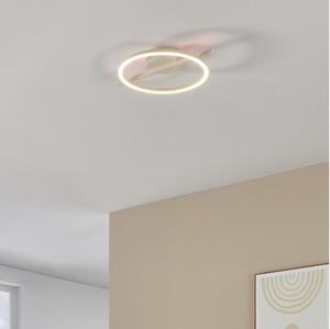 Eglo 901114 - LED Stmievateľné stropné svietidlo AMANDOLO LED/17W/230V biela + DO