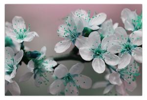 Obraz kvetov - tyrkysové (90x60 cm)