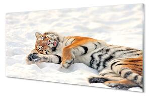 Sklenený obraz Tiger winter 100x50 cm 2 Prívesky