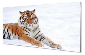 Sklenený obraz Tiger winter 100x50 cm 2 Prívesky