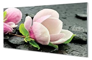 Sklenený obraz Magnolia kamene 100x50 cm 2 Prívesky