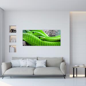 Obraz zelených hadov (120x50 cm)