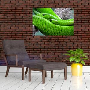 Obraz zelených hadov (90x60 cm)