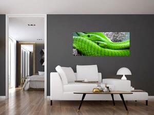 Obraz zelených hadov (120x50 cm)