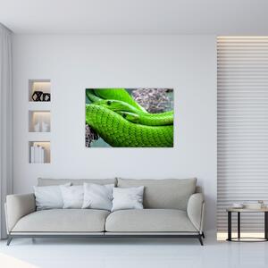 Obraz zelených hadov (90x60 cm)