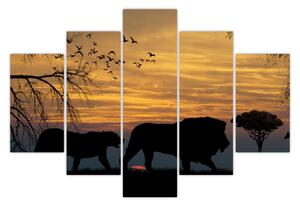 Obraz Safari (150x105 cm)
