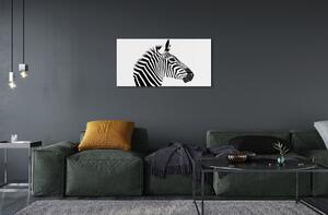 Sklenený obraz ilustrácie zebra 120x60 cm 4 Prívesky